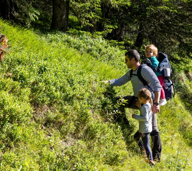 Tolle Familienwanderwege inmitten der grünen Natur erwarten Sie im Sommerurlaub