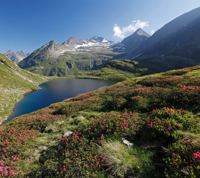 Wanderungen zu glitzernden Bergseen im Sommerurlaub in Österreich