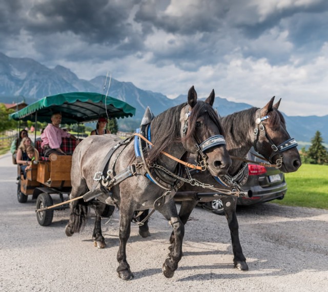 Erleben Sie eine einzigartige Pferdekutschenfahrt inmitten der Region Schladming-Dachstein