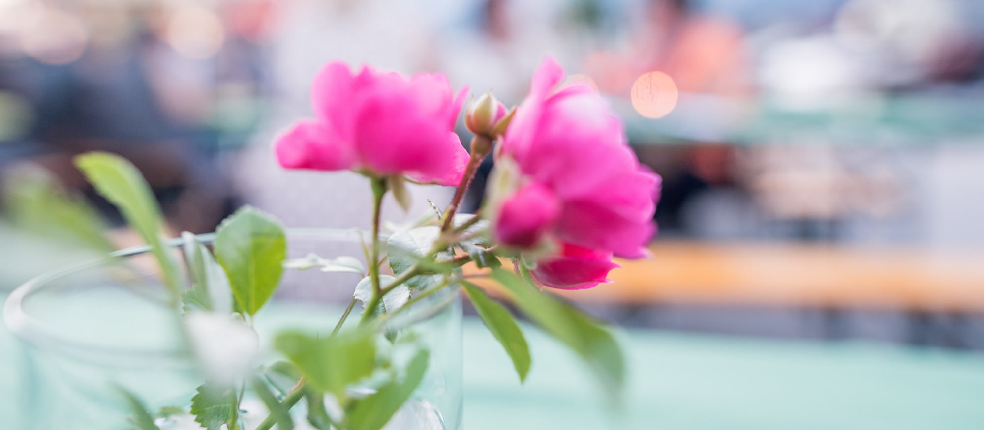Tischdekoration Blumen im Hotel Restaurant Pariente